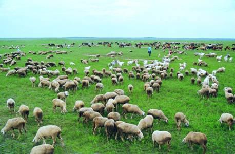 草原生態氣象站廠家 草原生態氣象站廠家