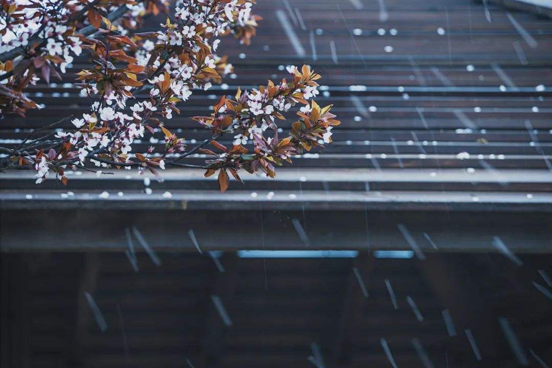 1605684289666113.jpg 1605684289666113.jpg